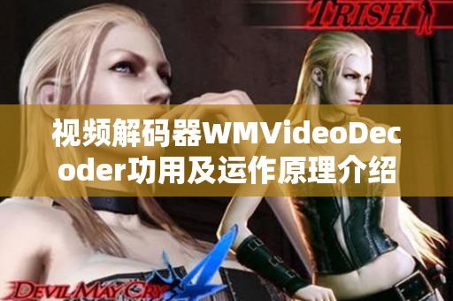 視頻解碼器WMVideoDecoder功用及運(yùn)作原理介紹