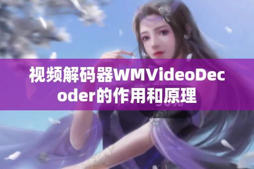 視頻解碼器WMVideoDecoder的作用和原理