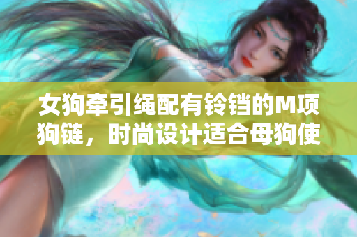 女狗牽引繩配有鈴鐺的M項狗鏈，時尚設(shè)計適合母狗使用