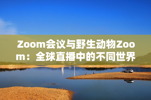 Zoom會(huì)議與野生動(dòng)物Zoom：全球直播中的不同世界