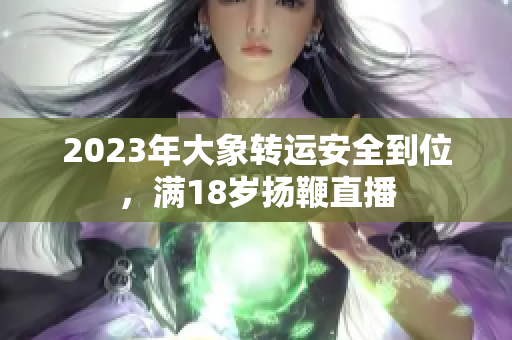 2023年大象轉(zhuǎn)運安全到位，滿18歲揚鞭直播