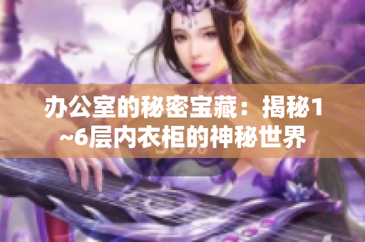 辦公室的秘密寶藏：揭秘1~6層內(nèi)衣柜的神秘世界