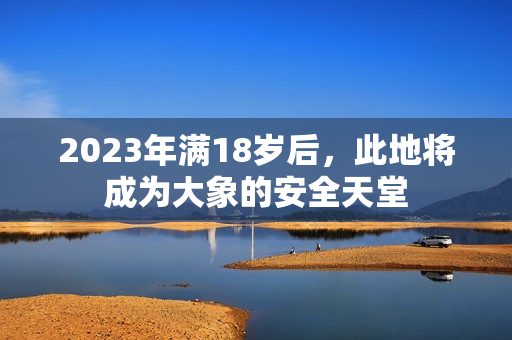 2023年滿18歲后，此地將成為大象的安全天堂