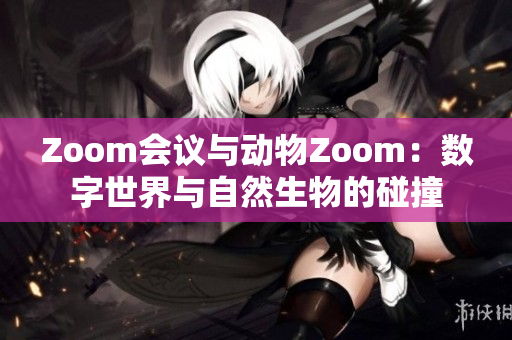 Zoom會議與動物Zoom：數(shù)字世界與自然生物的碰撞