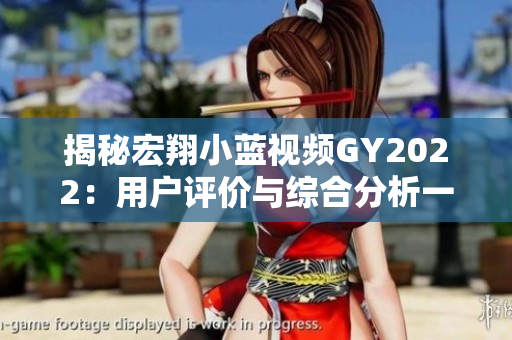 揭秘宏翔小藍視頻GY2022：用戶評價與綜合分析一覽