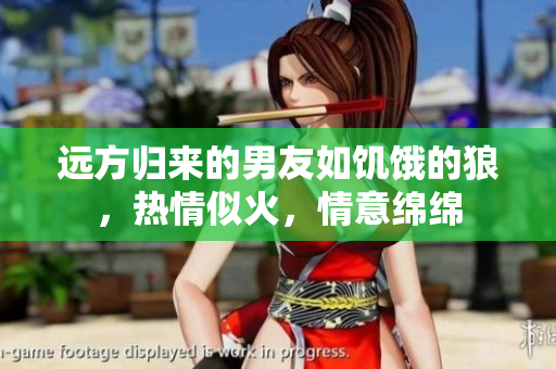 遠(yuǎn)方歸來的男友如饑餓的狼，熱情似火，情意綿綿