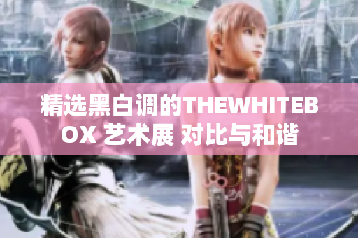 精選黑白調(diào)的THEWHITEBOX 藝術(shù)展 對(duì)比與和諧