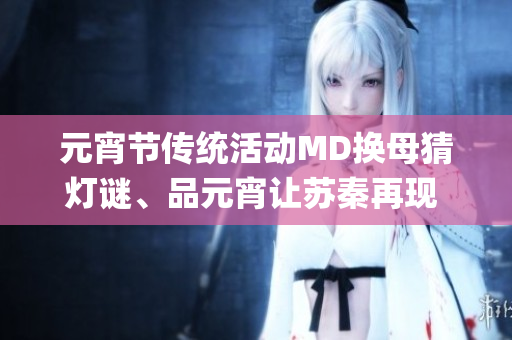 元宵節(jié)傳統(tǒng)活動(dòng)MD換母猜燈謎、品元宵讓蘇秦再現(xiàn) splendor