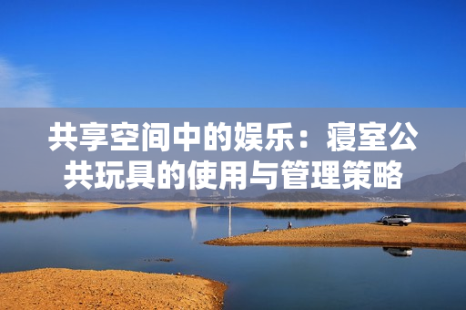 共享空間中的娛樂：寢室公共玩具的使用與管理策略