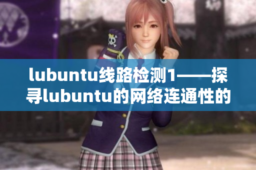 lubuntu線路檢測1——探尋lubuntu的網絡連通性的重要性