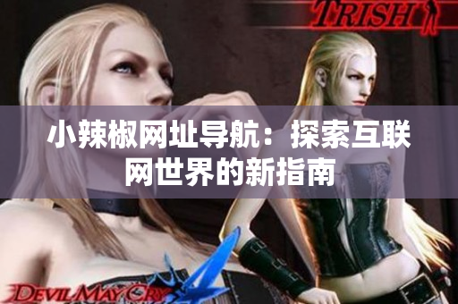 小辣椒網(wǎng)址導航：探索互聯(lián)網(wǎng)世界的新指南