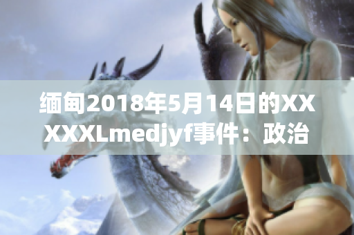 緬甸2018年5月14日的XXXXXLmedjyf事件：政治動蕩與社會動蕩的交織