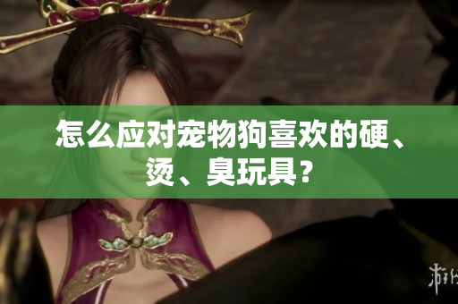 怎么應(yīng)對寵物狗喜歡的硬、燙、臭玩具？