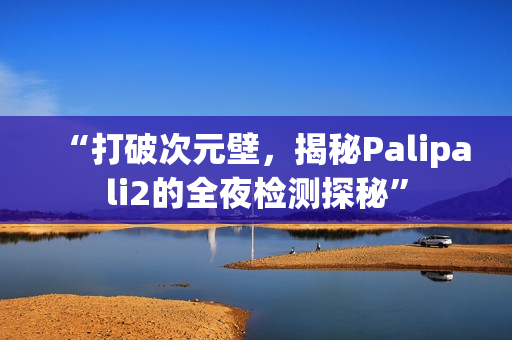 “打破次元壁，揭秘Palipali2的全夜檢測(cè)探秘”