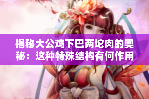 揭秘大公雞下巴兩坨肉的奧秘：這種特殊結(jié)構(gòu)有何作用？