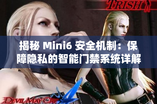 揭秘 Mini6 安全機制：保障隱私的智能門禁系統(tǒng)詳解