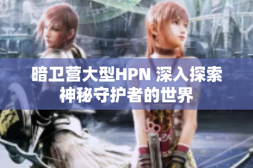 暗衛(wèi)營(yíng)大型HPN 深入探索神秘守護(hù)者的世界