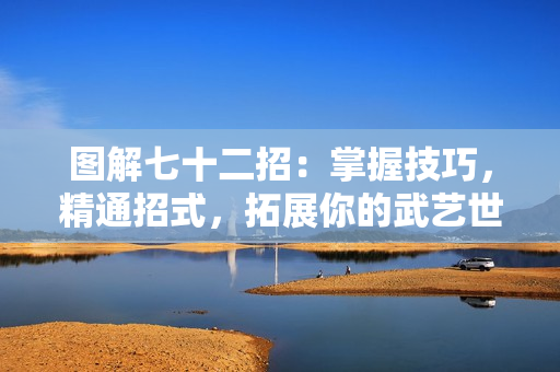 圖解七十二招：掌握技巧，精通招式，拓展你的武藝世界