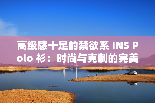 高級感十足的禁欲系 INS Polo 衫：時(shí)尚與克制的完美融合