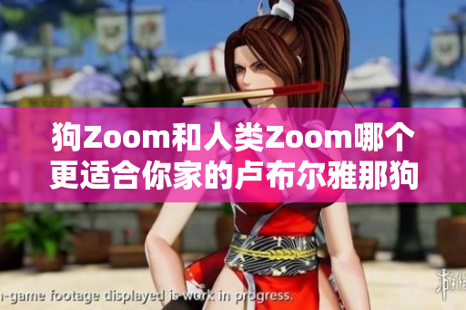 狗Zoom和人類Zoom哪個(gè)更適合你家的盧布爾雅那狗？