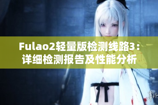 Fulao2輕量版檢測線路3：詳細(xì)檢測報告及性能分析