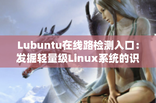 Lubuntu在線路檢測入口：發(fā)掘輕量級Linux系統(tǒng)的識別指南