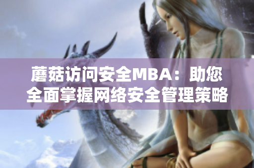 蘑菇訪問安全MBA：助您全面掌握網(wǎng)絡(luò)安全管理策略