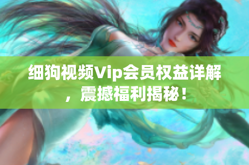 細狗視頻Vip會員權益詳解，震撼福利揭秘！