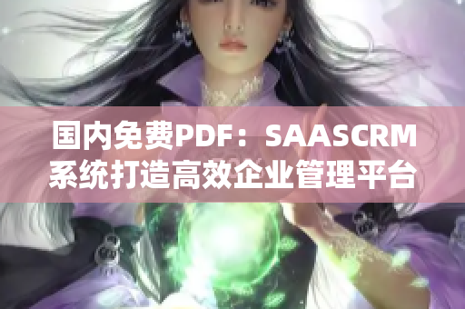 國內(nèi)免費PDF：SAASCRM系統(tǒng)打造高效企業(yè)管理平臺