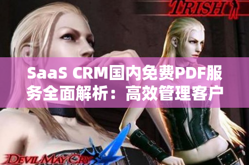 SaaS CRM國內(nèi)免費PDF服務(wù)全面解析：高效管理客戶關(guān)系新利器