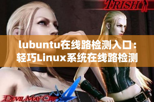 lubuntu在線路檢測入口：輕巧Linux系統(tǒng)在線路檢測服務(wù)