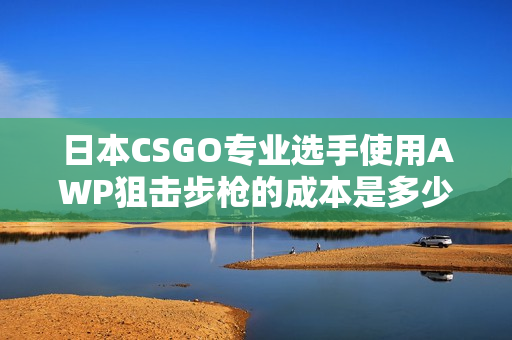 日本CSGO專業(yè)選手使用AWP狙擊步槍的成本是多少？